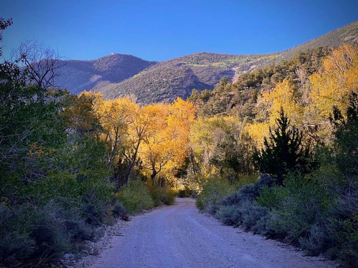 Snake Creek Road trail photo