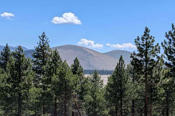 Forest Service Road 1S133