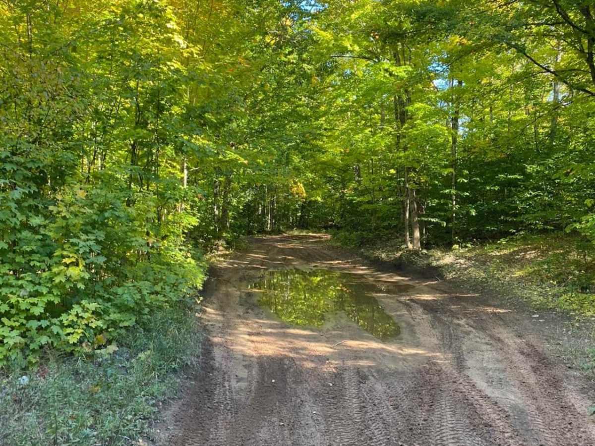 Candy Cane Lane - Trail 419 photo 2