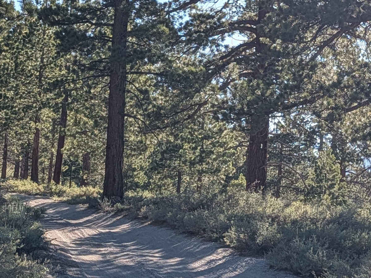 Hartley Springs -  FS 2S78 photo 3