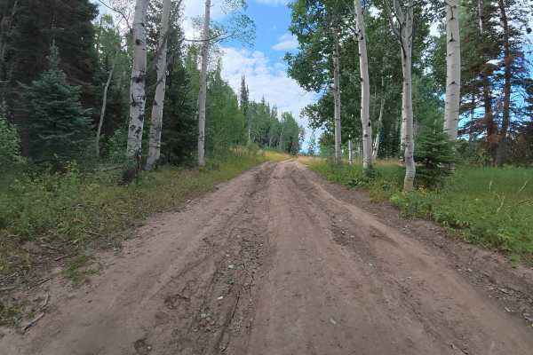 Joe Mule Park - FS 245