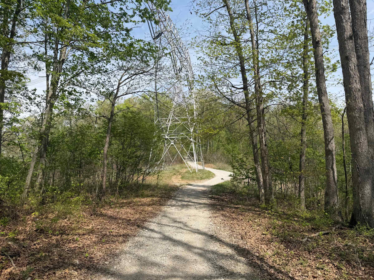 Powerline Trail trail photo