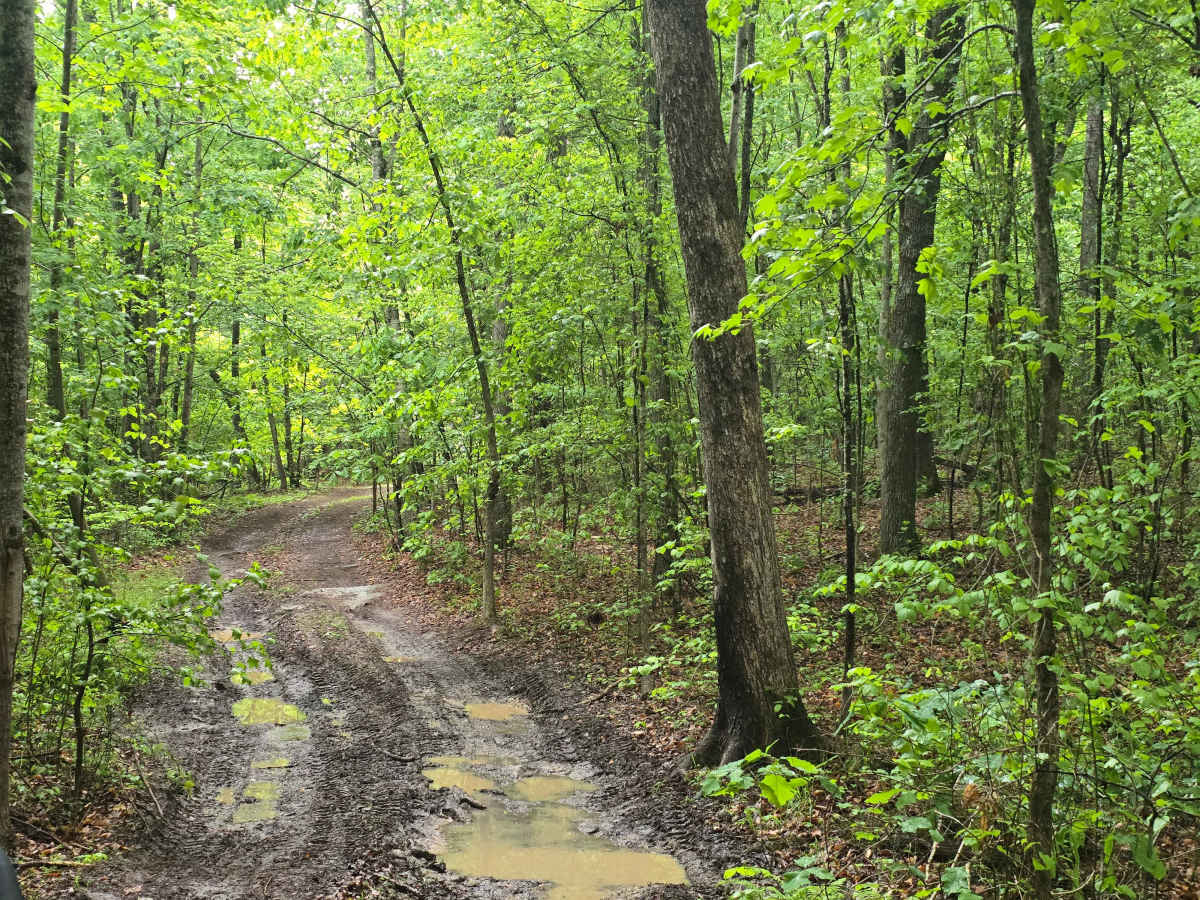 Trail 49 photo 3
