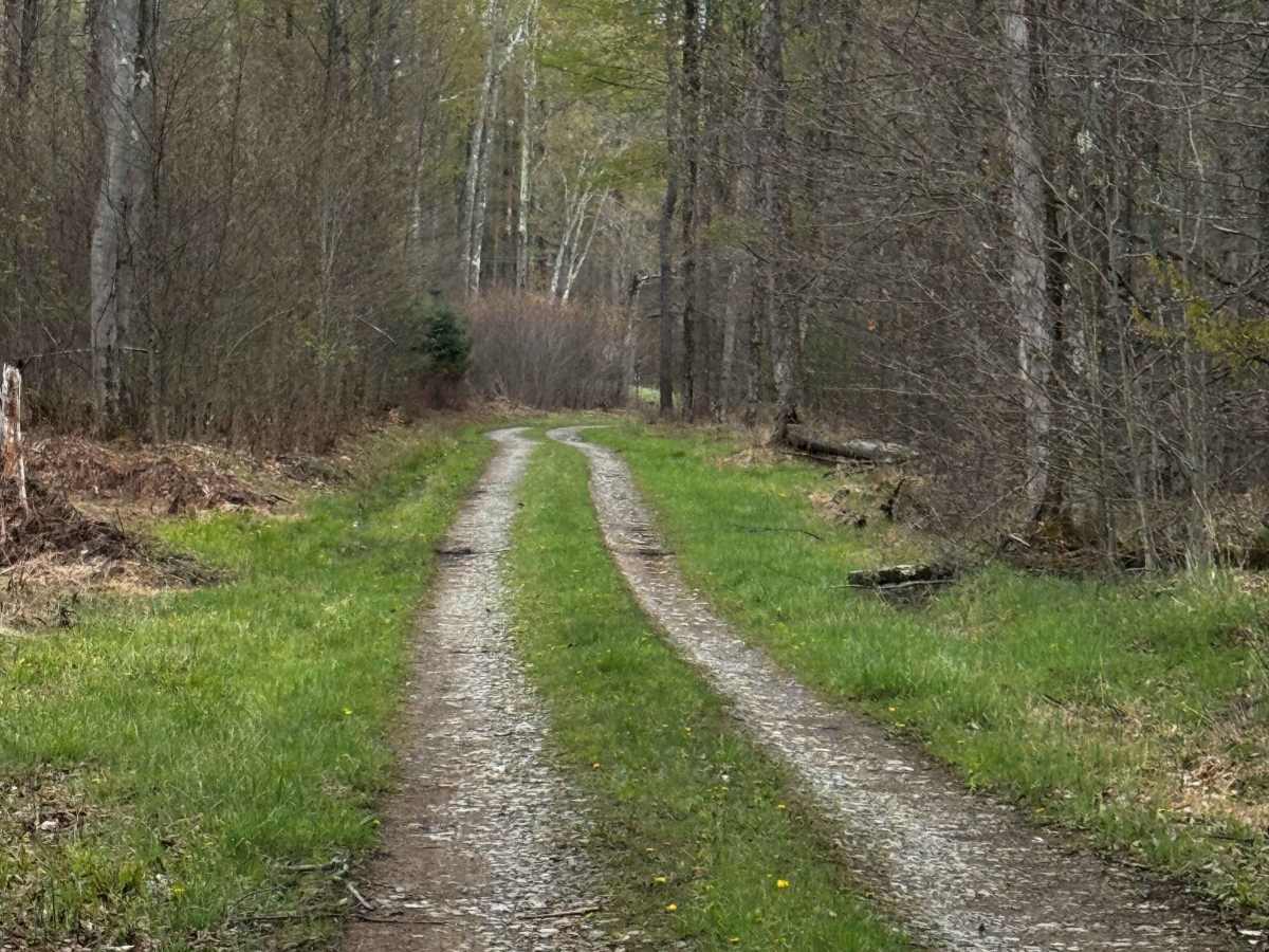 Little Daugherty Road photo 5