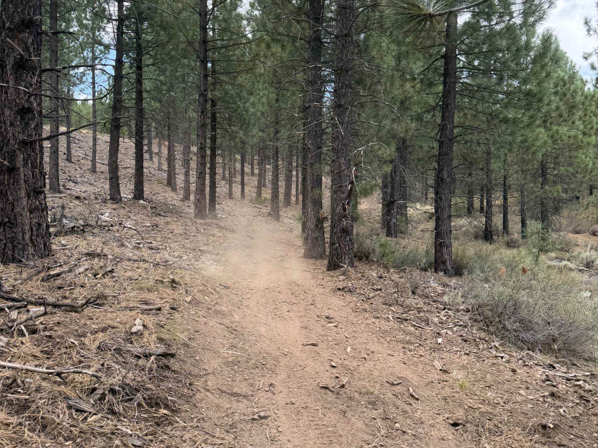 #9 photo 6