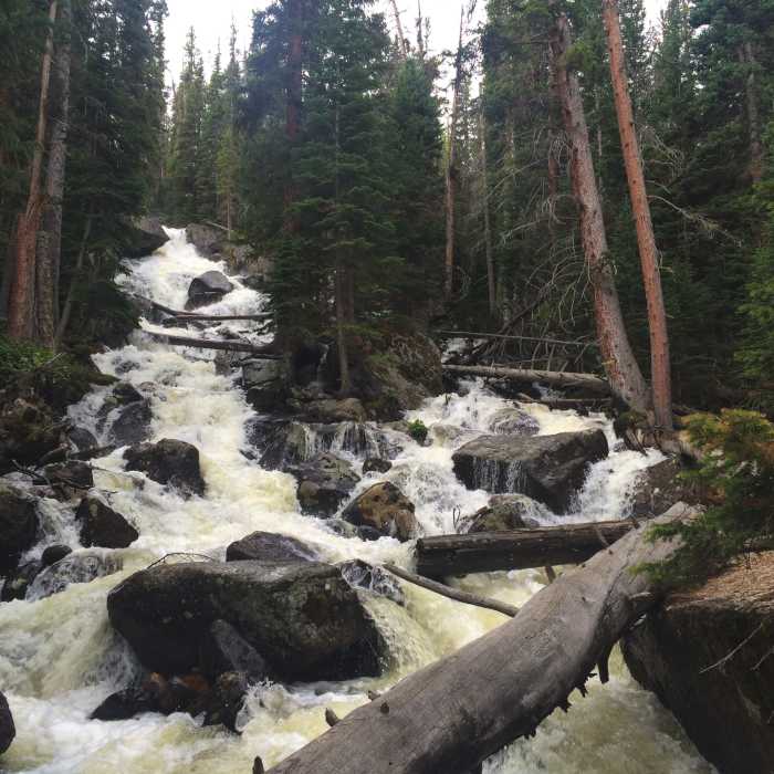 Near Wild Basin Trail