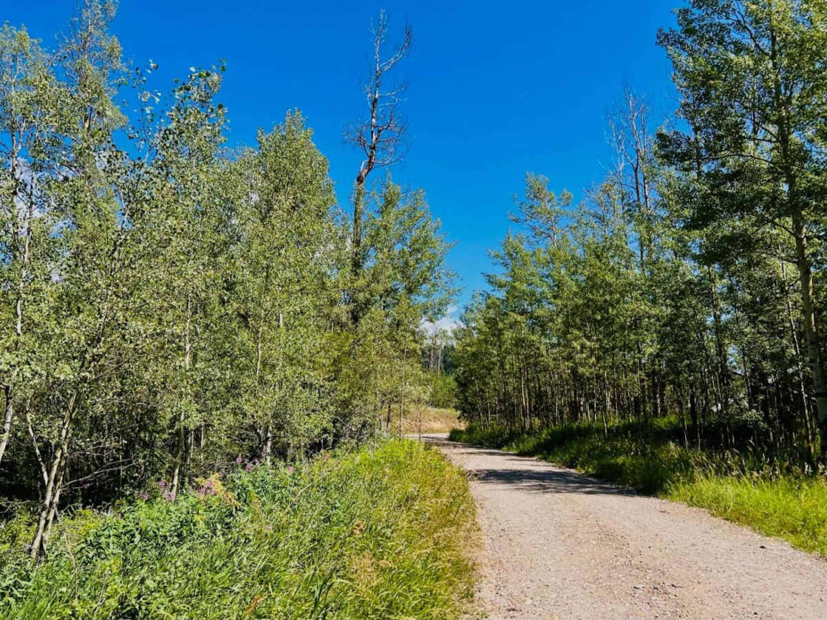 Whits Lake Trail photo 5