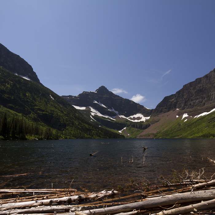 View of Two Medicine Lake from shoreline. Near Two Medicine Lake South Shore