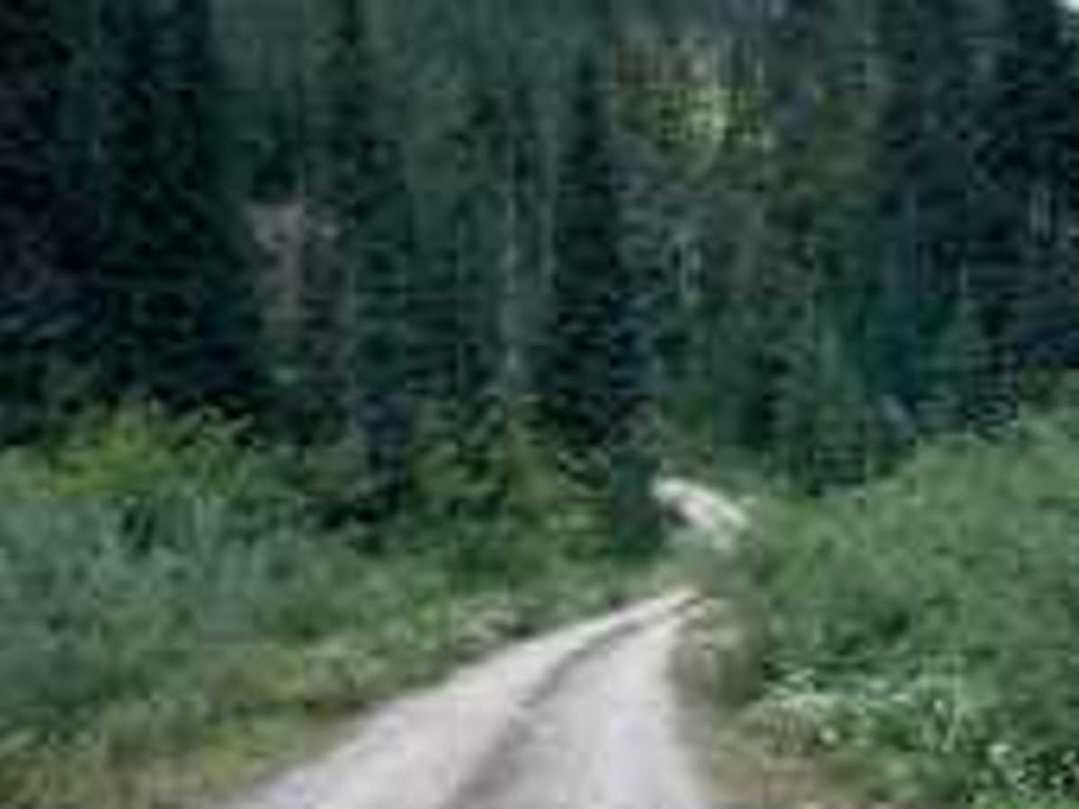 Porcupine - FS 4930118 trail photo
