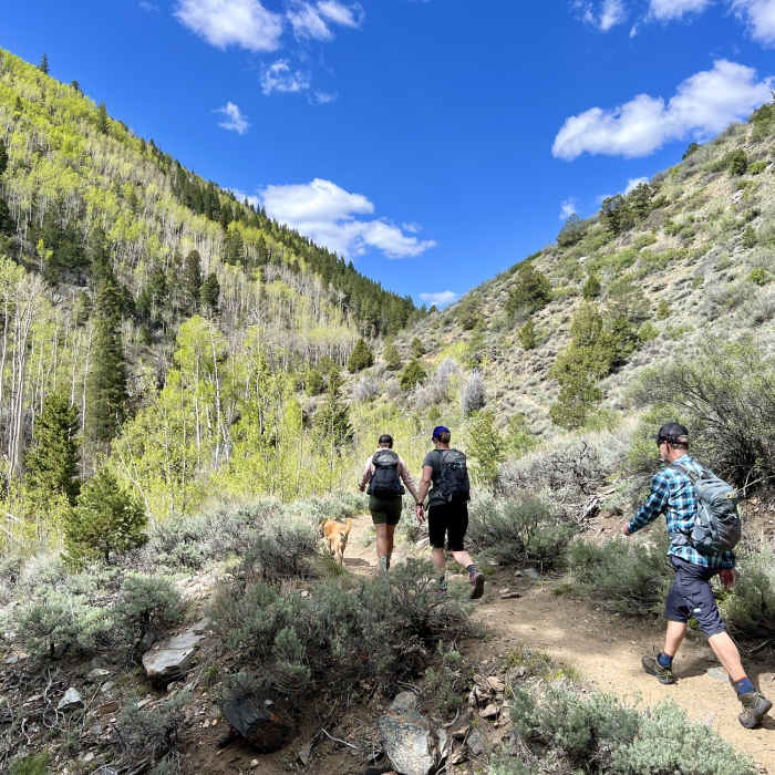 Near Green's Creek Out-and-Back