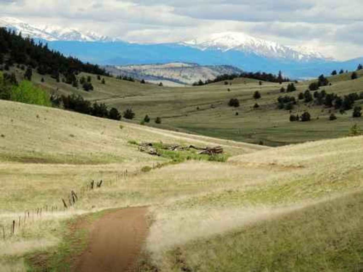 31 Mile Creek trail photo