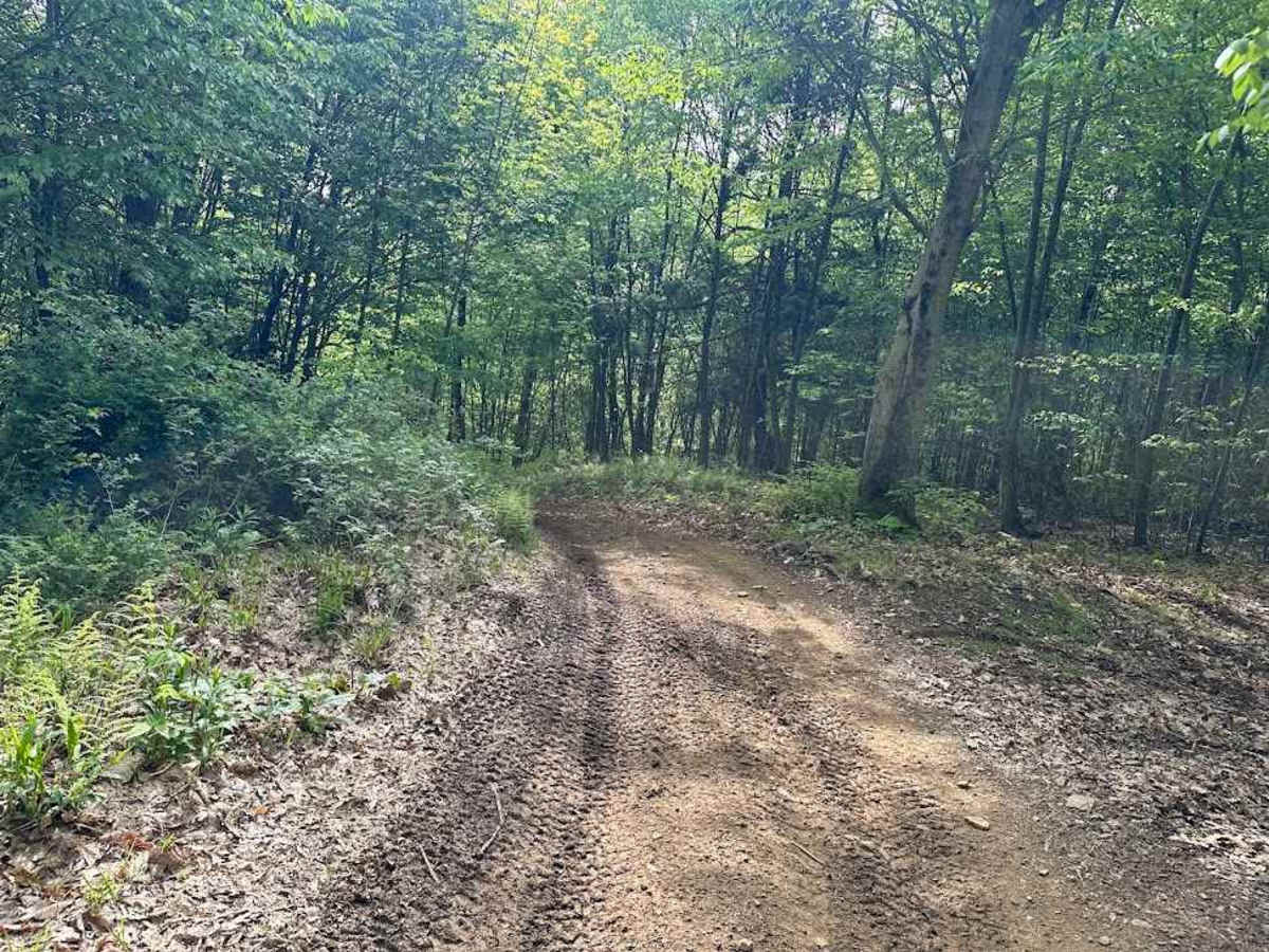 C Blue C1- C5 trail photo