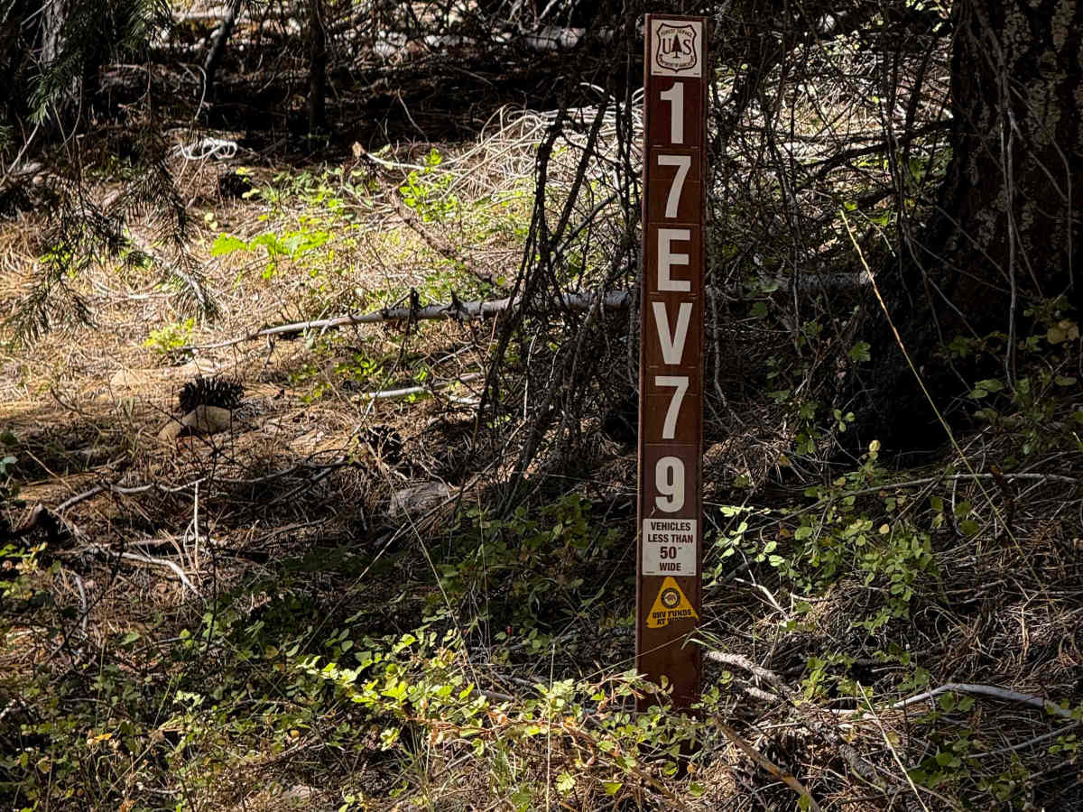 17EV79 photo 3