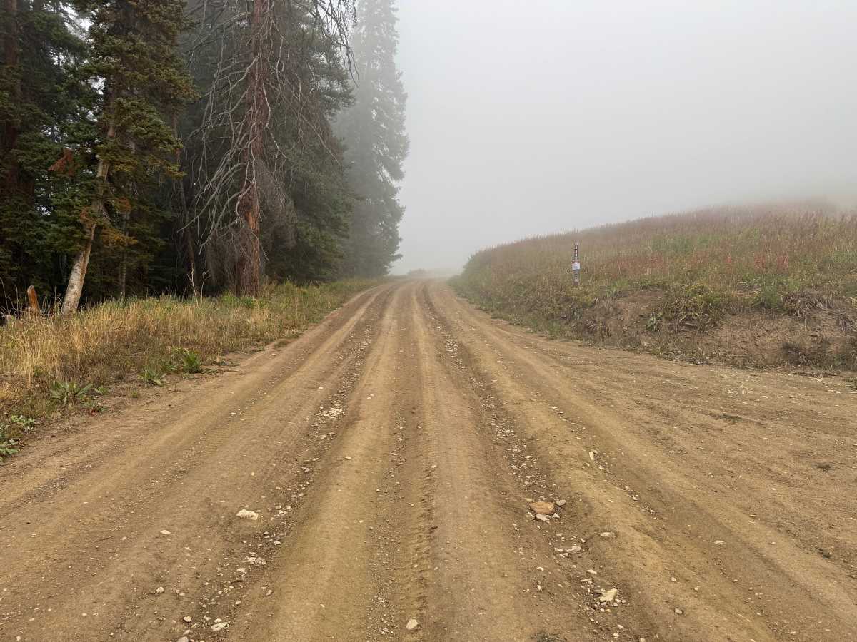 Kobey Park - Link Road trail photo