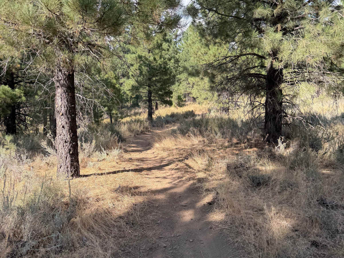 Poor Billy Trail photo 6