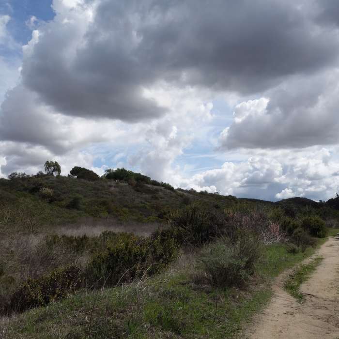 Near Three Bridges Loop to Los Penasquitos Canyon