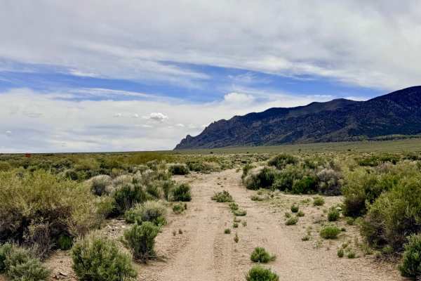 Broad Canyon - FS 44212