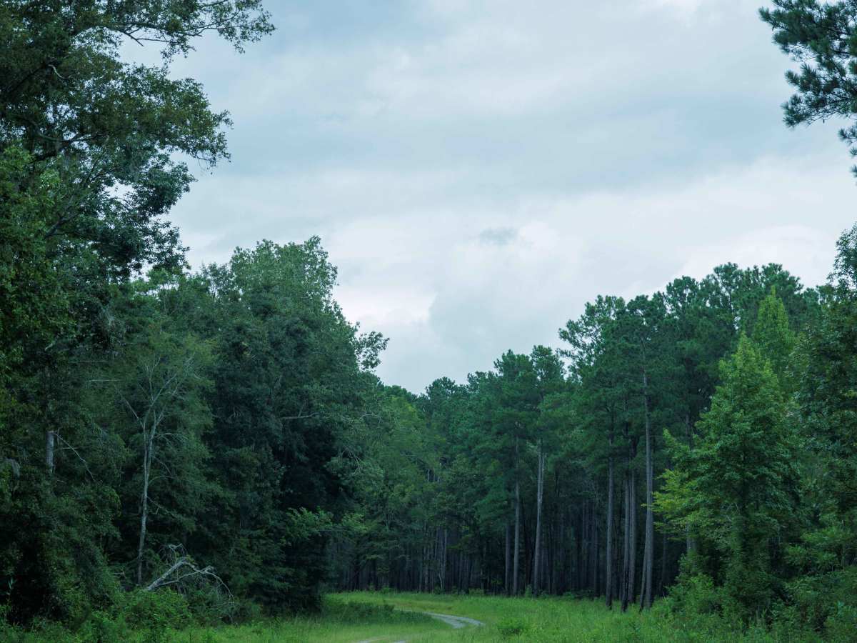 Brier Creek Access photo 5