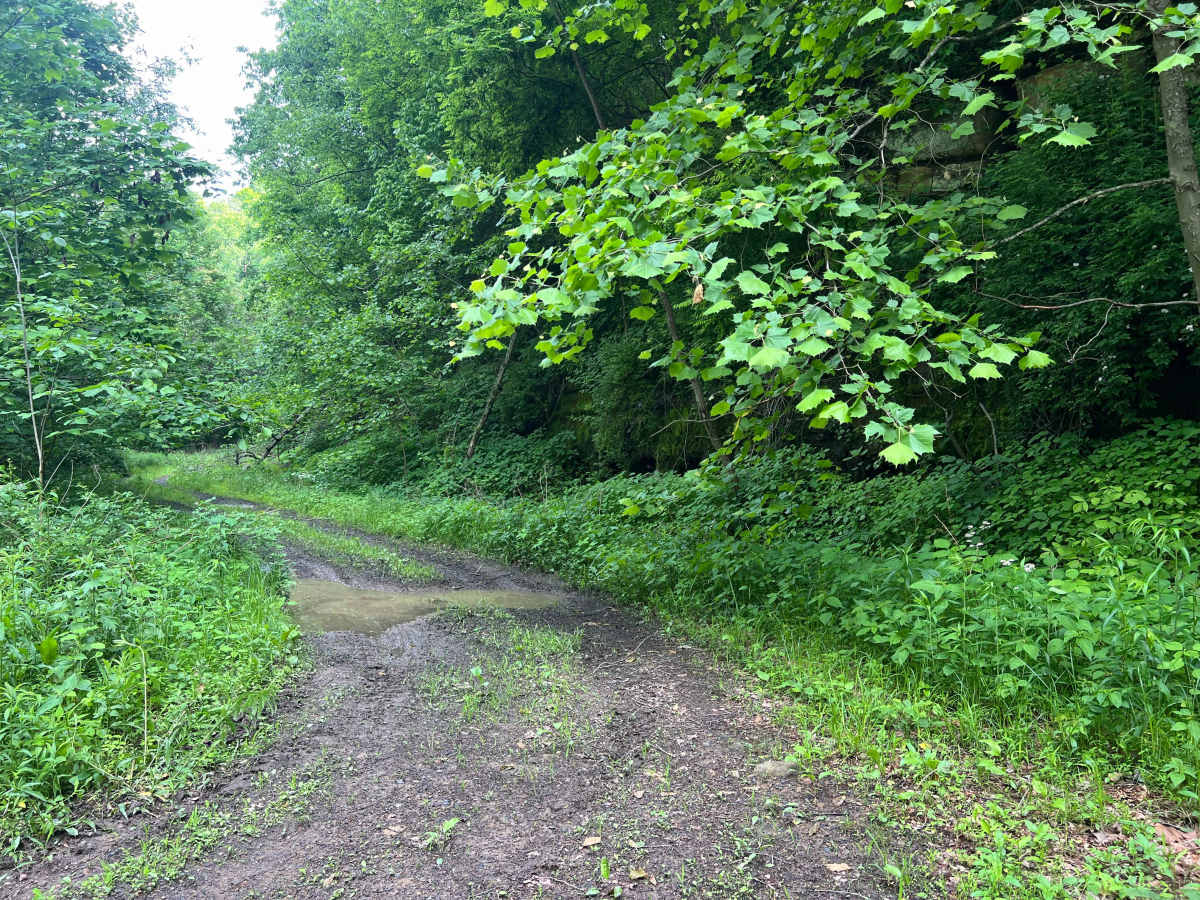 KC27B photo 2