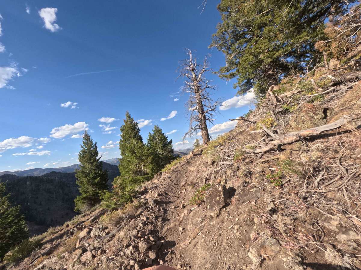 Warfield-South Fork - FS 7151 photo 5