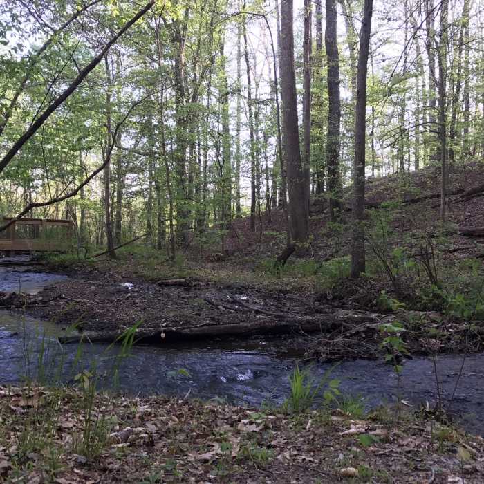 Near Radcliffe Conservation Area Loop