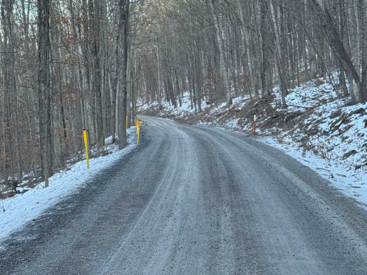 Bodine Mountain Road trail photo