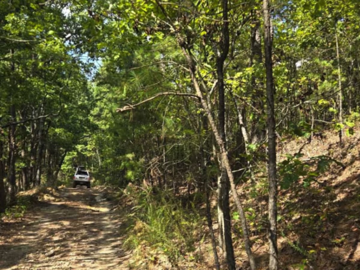 Bill's Branch Road photo 6