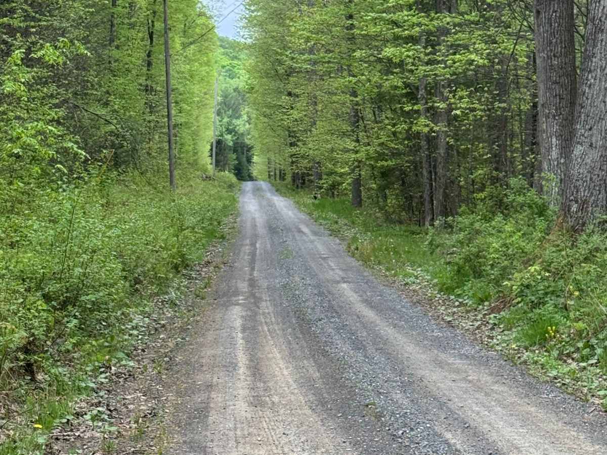 Lebo Road photo 2