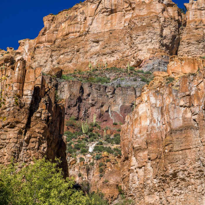 Near Aravaipa Canyon Trail