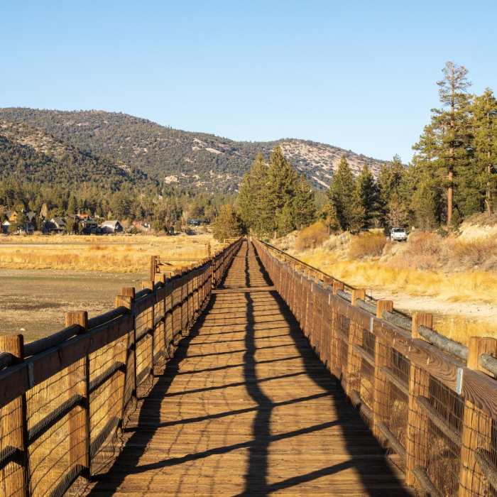 Near Stanfield Marsh Boardwalk
