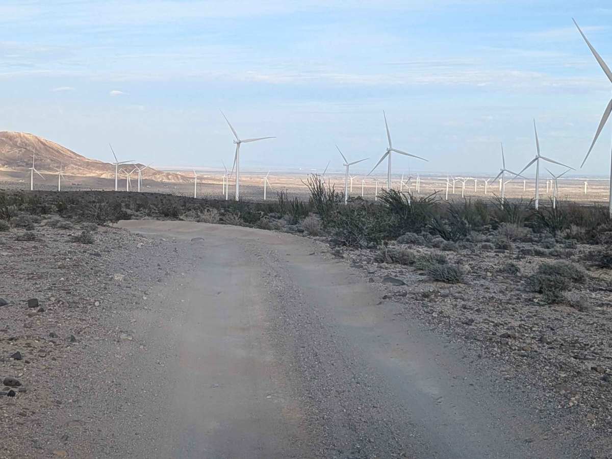 BLM 109 photo 4