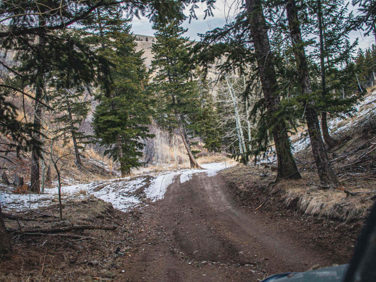 Black Pine Canyon trail photo