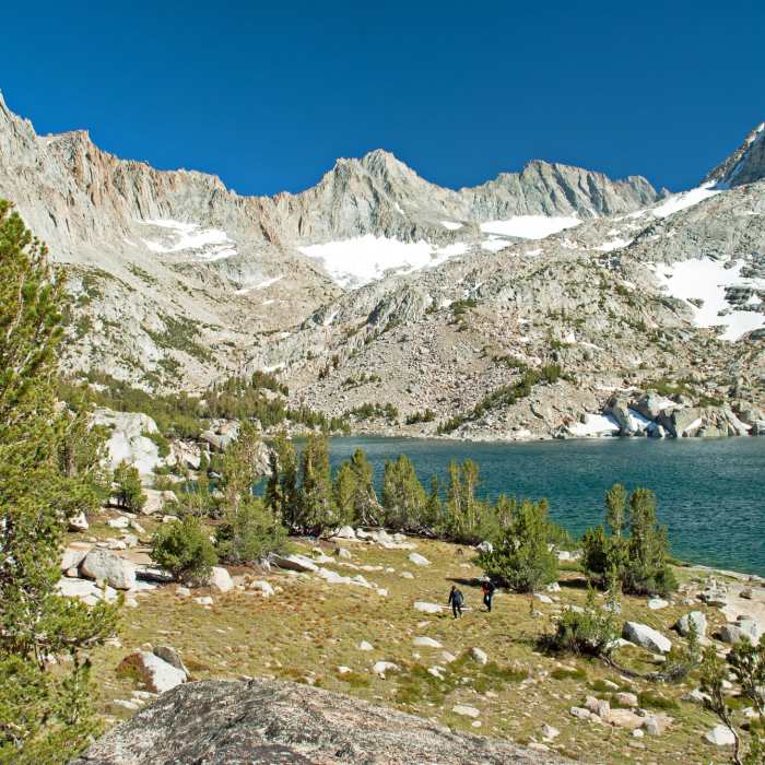 Near Baboon Lakes Trail (31E01A)