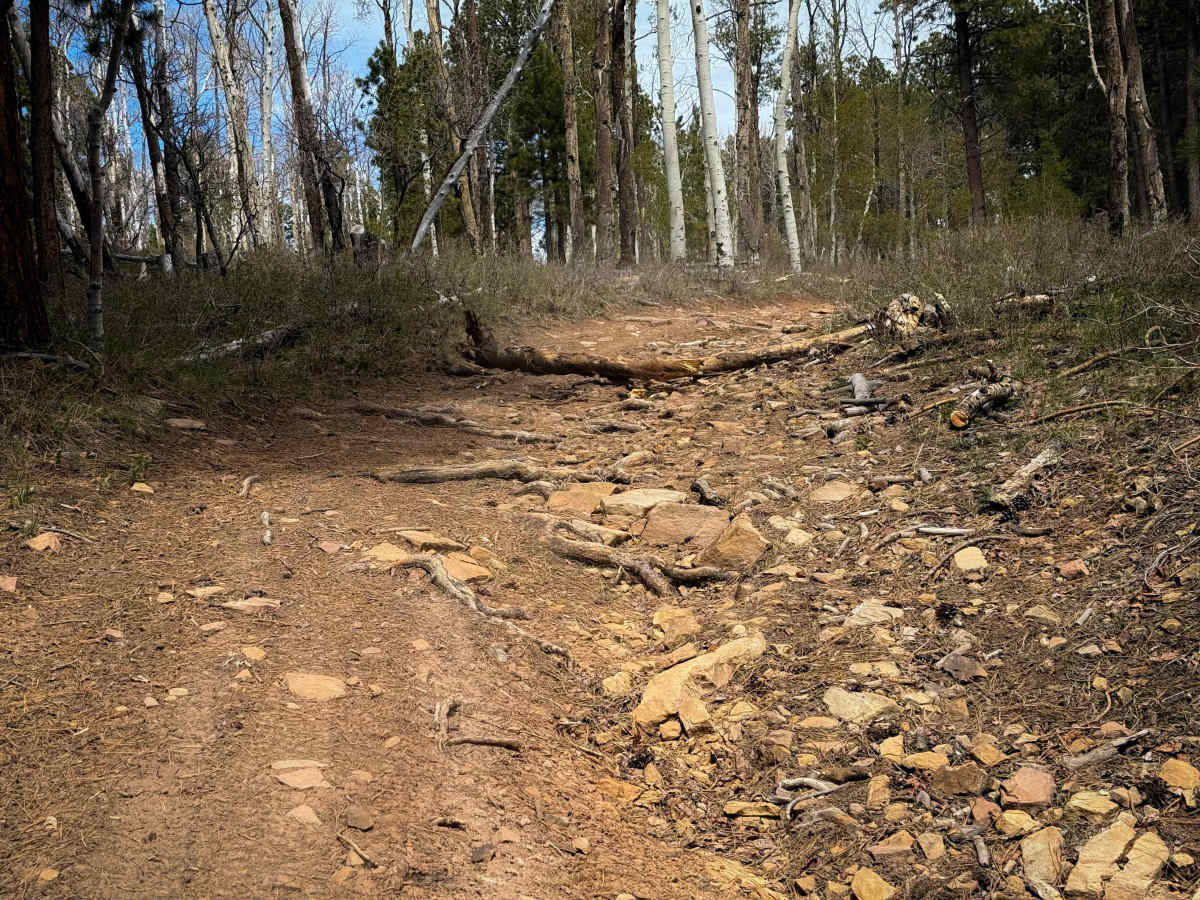 Trail 16 Loop  photo 2