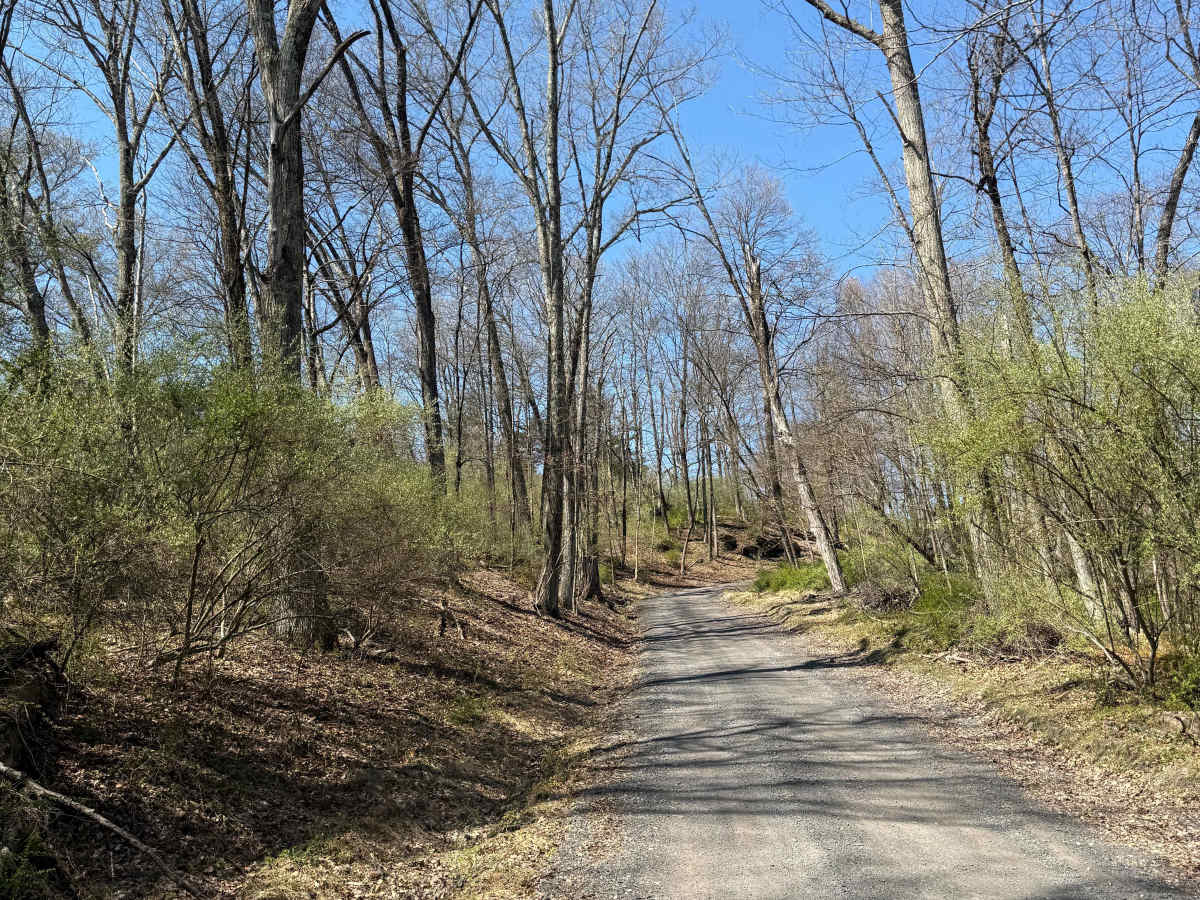 Permanent School Road photo 6