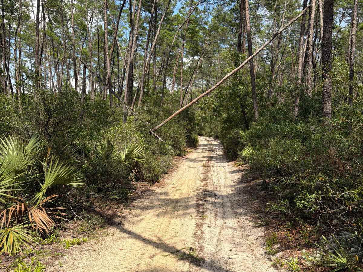 FS 9-6.5 trail photo