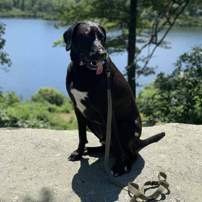 Near Pine Meadow Lake Loop