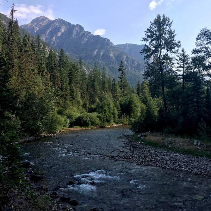Near Coal Nyack Loop