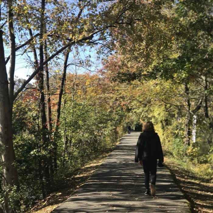 Near Rappahannock Canal Path