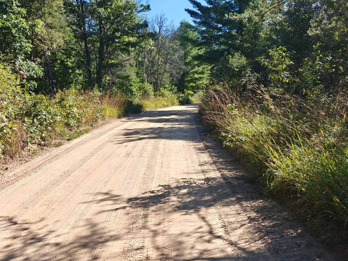 Grass Lake Road photo 3