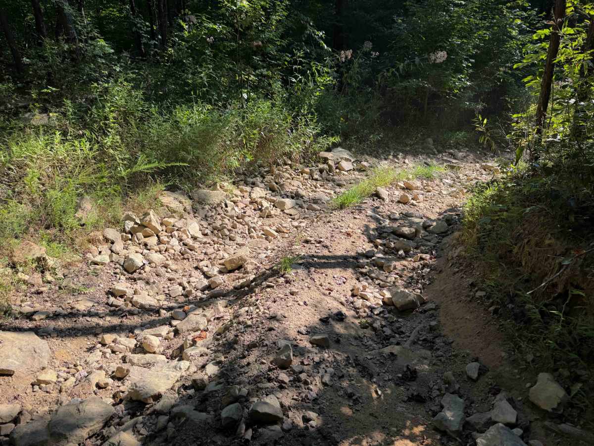 Pete Hollow Trail photo 4