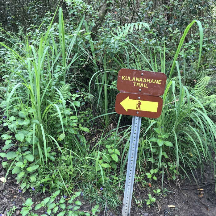 At 2.9 miles you see this sign. Don't follow this arrow. Behind this mark is unmarked trail take it. Near Moanalua Valley Trail