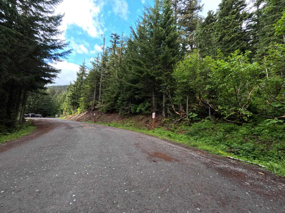 Top Spur - FS 1828118 photo 4
