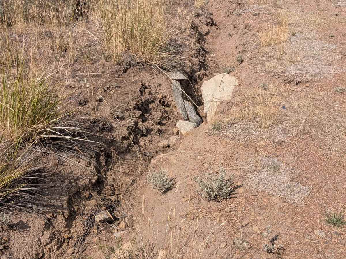 Cameron Canyon photo 3