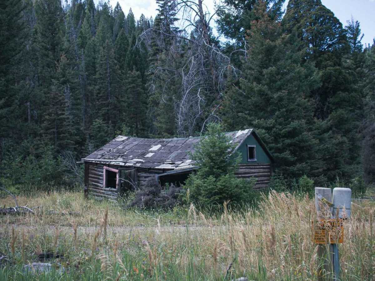 Telegraph trail photo