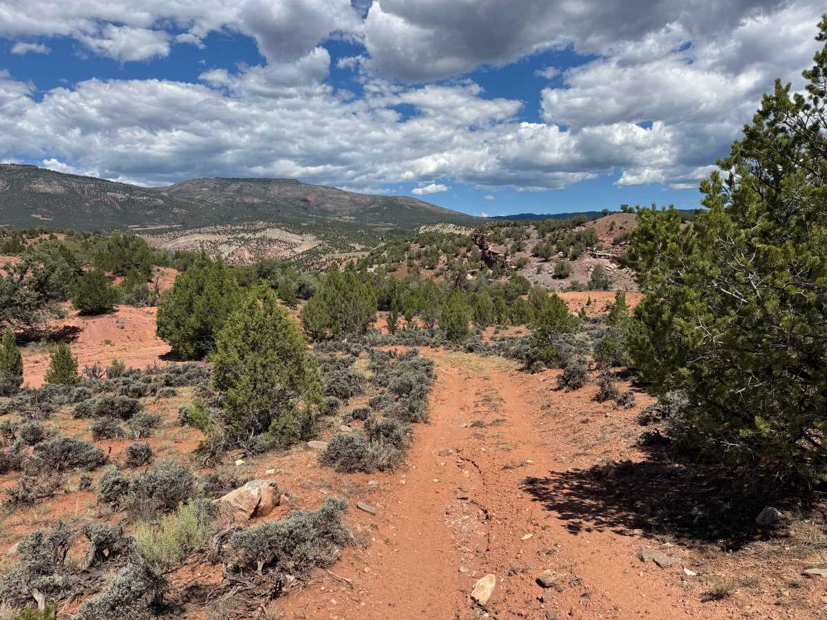 BLM 8535 trail photo