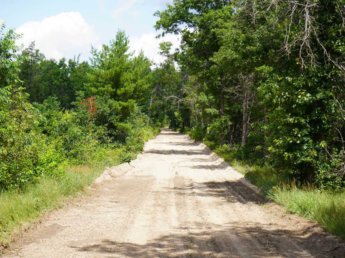 Billman Wilbur Trail photo 4
