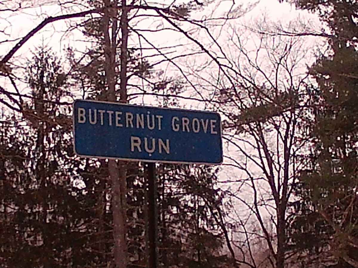 Butternut Grove Road trail photo