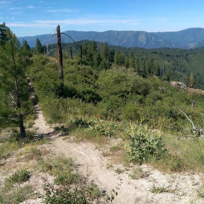 Near Airline Trail #038