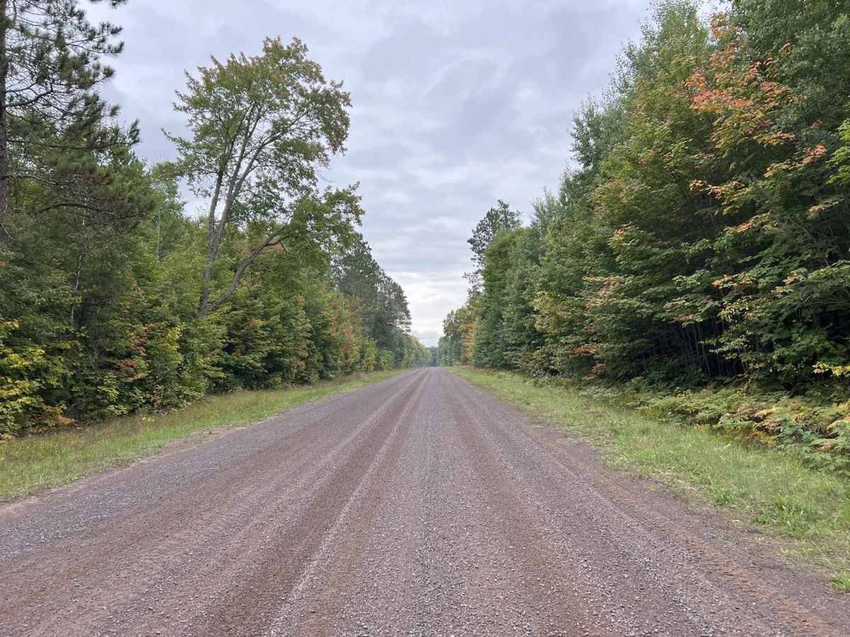 FR 1100, Trail OC photo 5